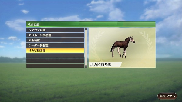 WP9 2020 毛色名鑑セット（５種） screenshot 3