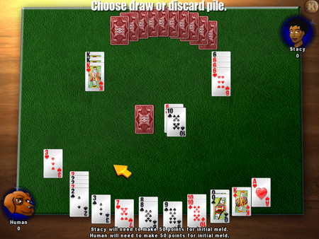 Classic Card Game Canasta