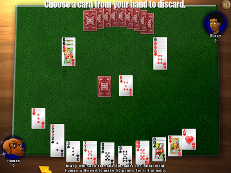 Classic Card Game Canasta