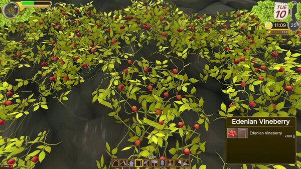 Edengrall screenshot 9