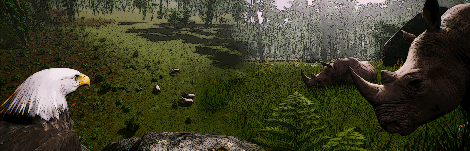 The Savana