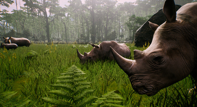 The Savana