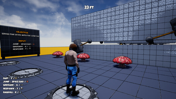 Ragdoll Party Online.