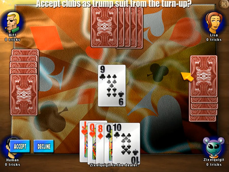 Screenshot z Classic Card Game Euchre