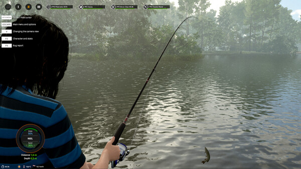 Thumbnail 17
