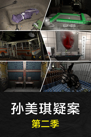 Обложка 孙美琪疑案 第二季