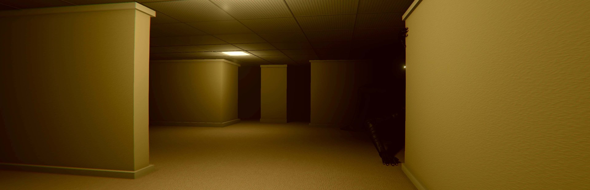 INTO THE BACKROOMS
