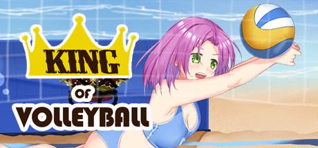 King of Volleyball header art
