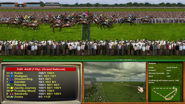 Screenshot z Starters Orders Classic Horse Racing