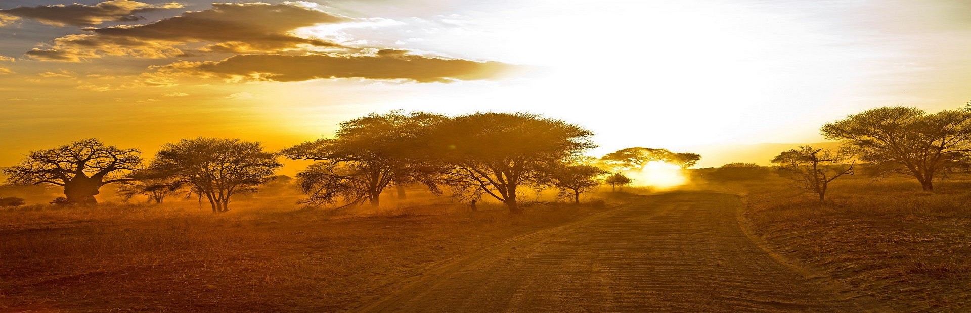 Survival Africa
