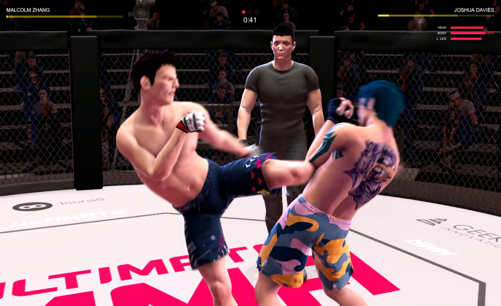 Ultimate MMA