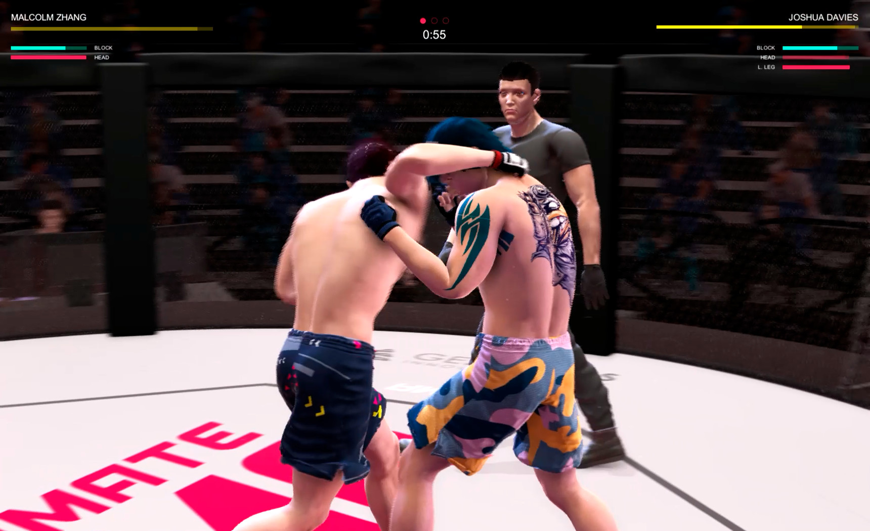 Ultimate MMA