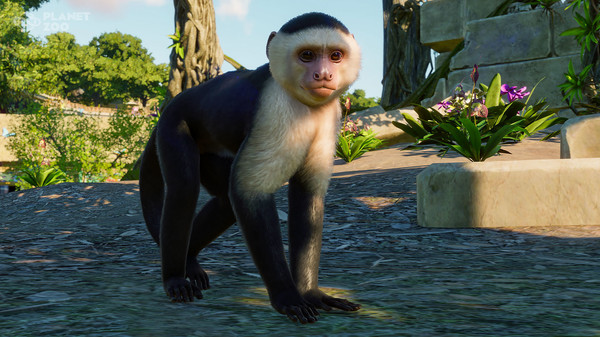 Planet Zoo: South America Pack.