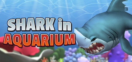 Image for Shark In Aquarium