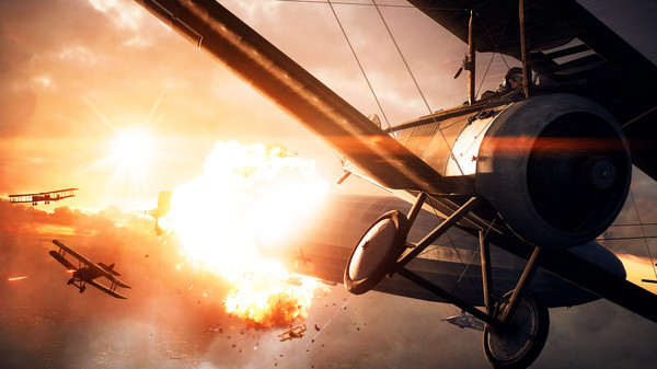 Battlefield 1 screenshot