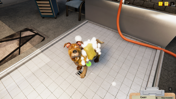 Animal Shelter 12