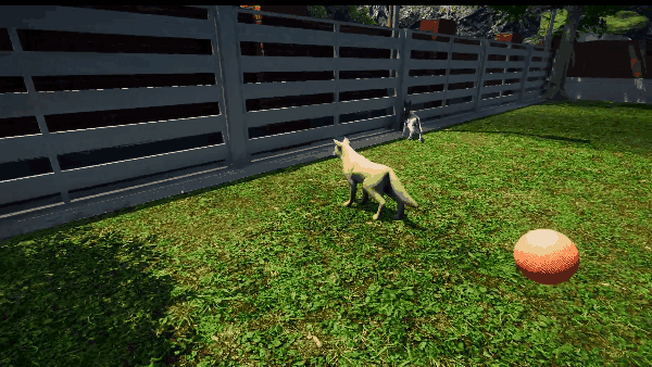 Animal Shelter