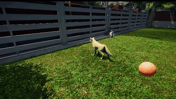 Animal Shelter video 4