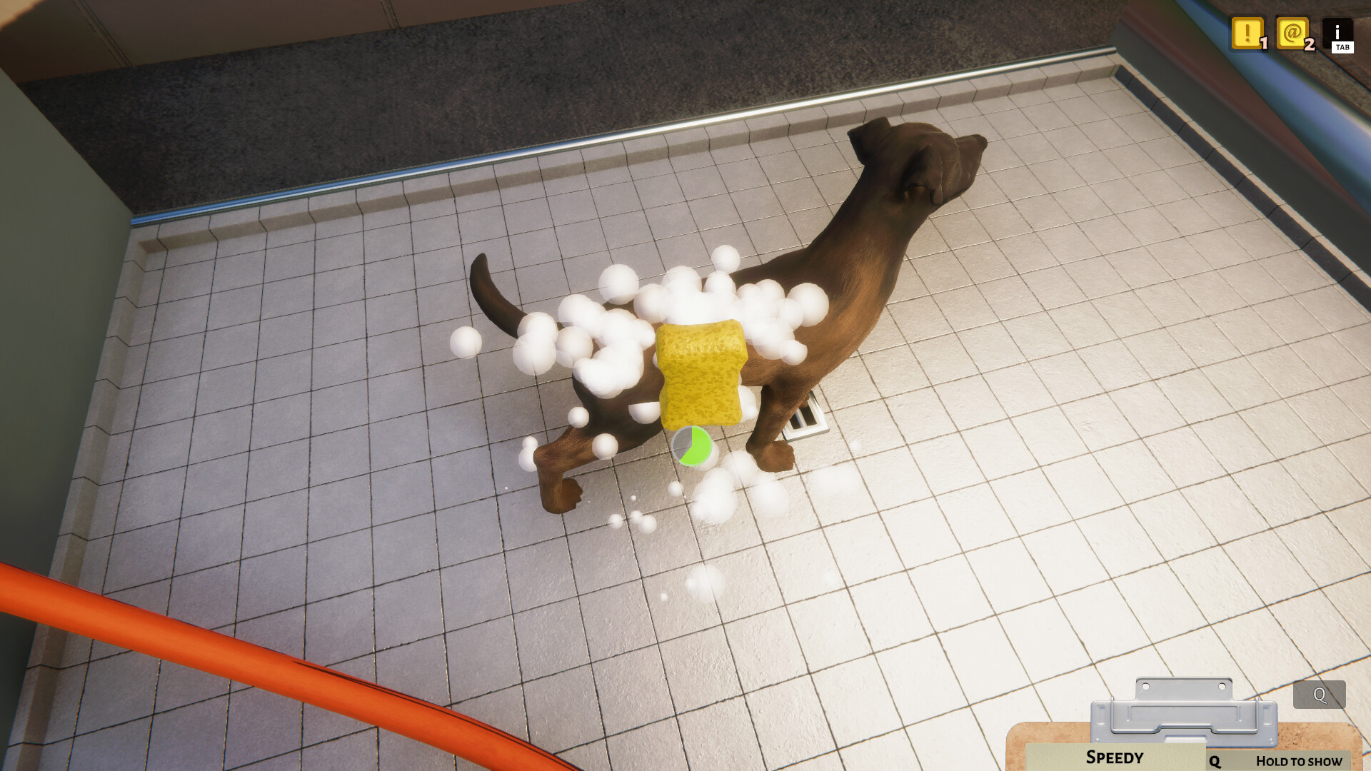 Animal Shelter 스크린샷 2