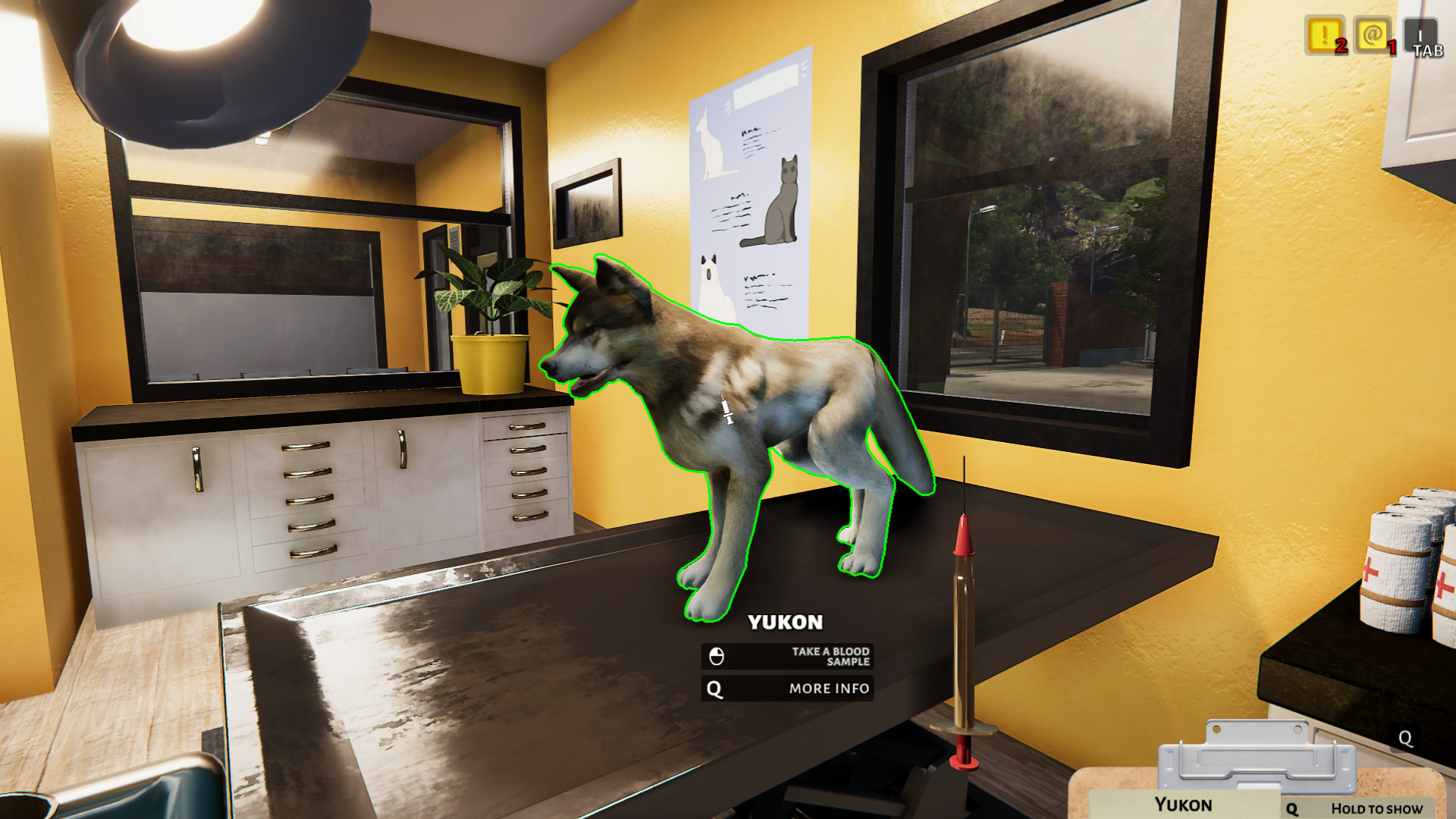 Animal Shelter – Screenshot 11
