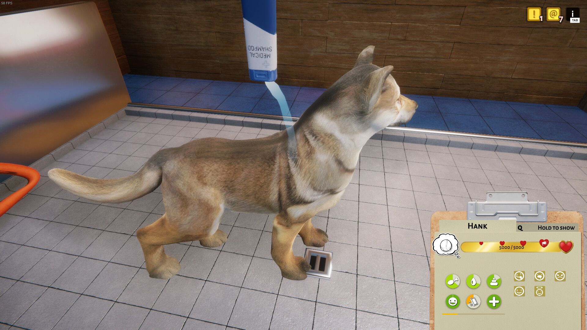 Animal Shelter screenshot #9