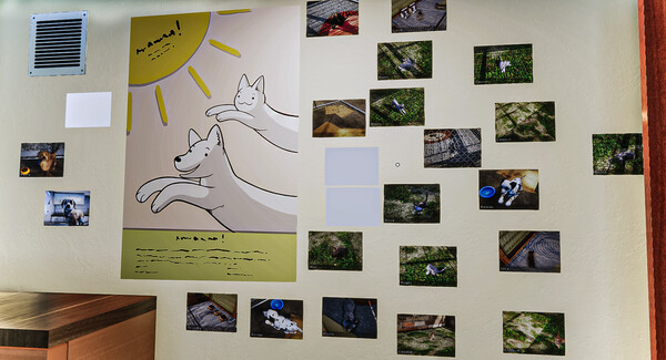 Animal Shelter: скриншот 18