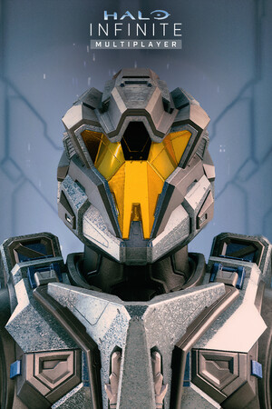 Halo Infinite Stats
