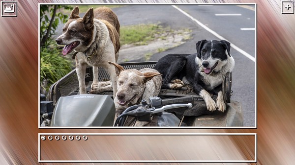 Super Jigsaw Puzzle: Generations - Dogs Puzzles