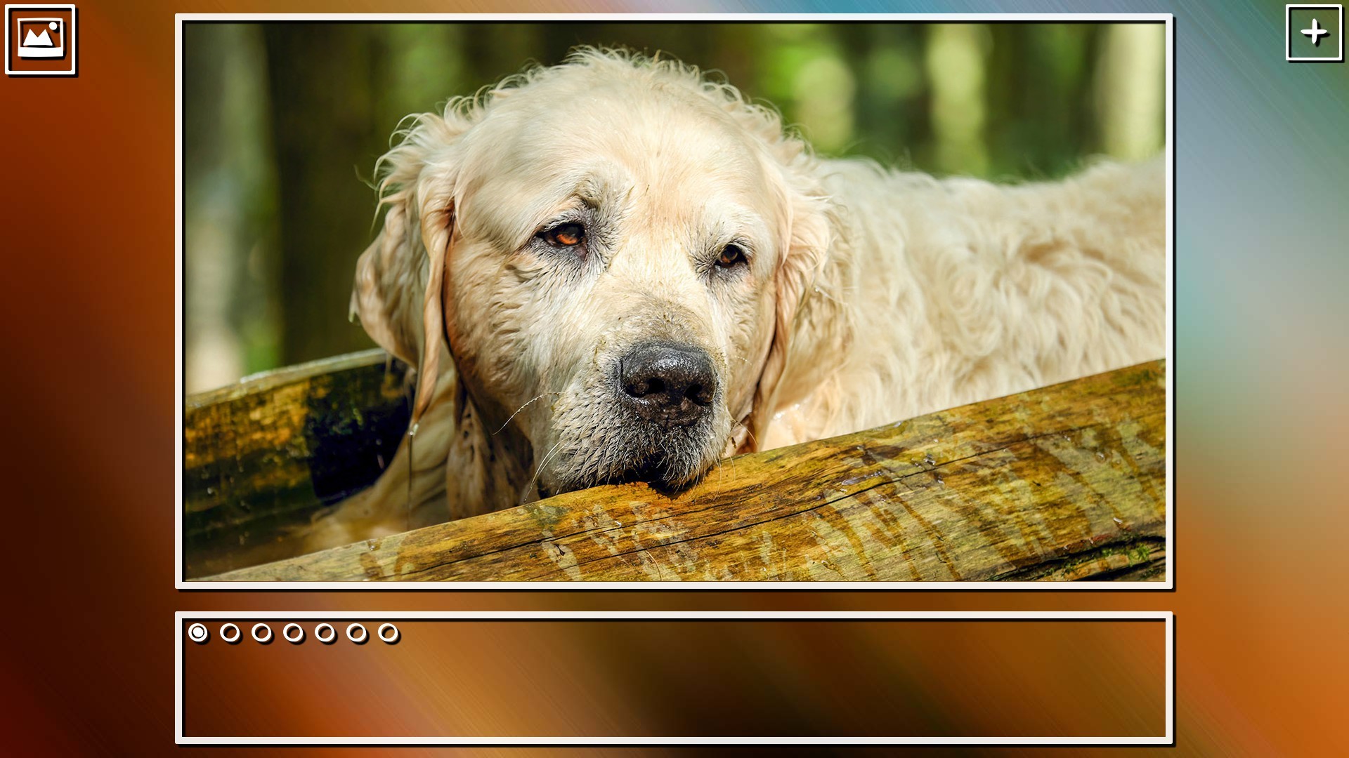 Super Jigsaw Puzzle: Generations - Dogs Puzzles Featured Screenshot #1