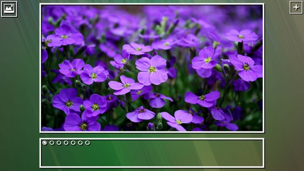 Super Jigsaw Puzzle: Generations - Flowers Puzzles