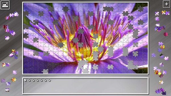 Super Jigsaw Puzzle: Generations - Flowers Puzzles