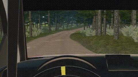 Virage Rally video 1