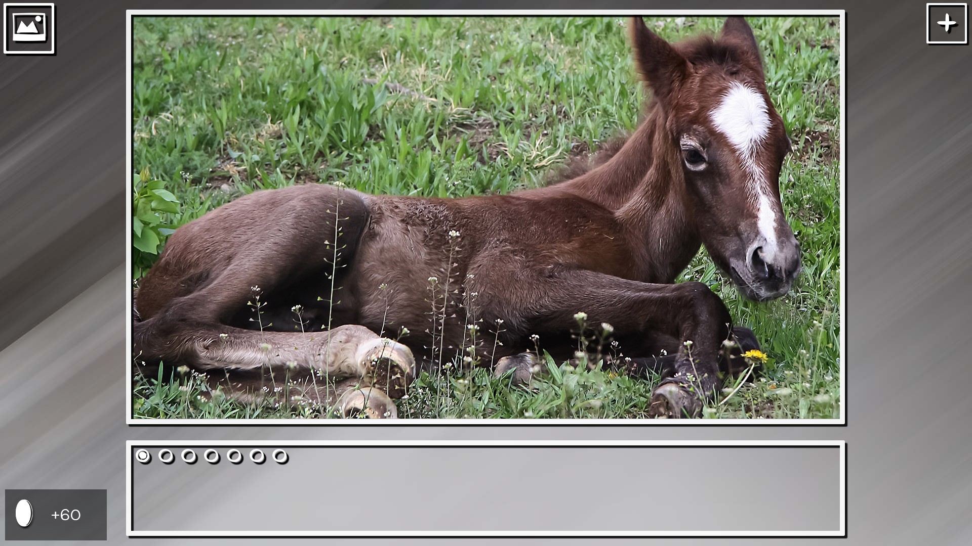 Super Jigsaw Puzzle: Generations - Horses Puzzles Featured Screenshot #1