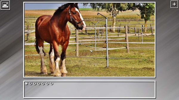 Super Jigsaw Puzzle: Generations - Horses Puzzles