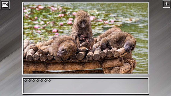 Super Jigsaw Puzzle: Generations - Monkeys & Apes Puzzles