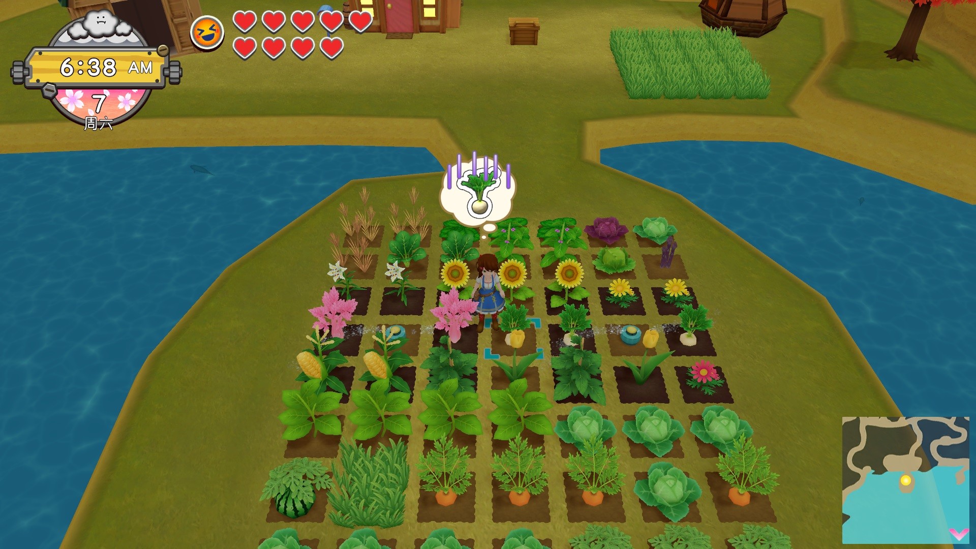 牧场物语一个世界