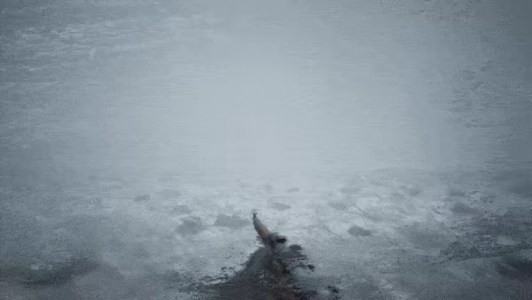 Expedition Zero video 3