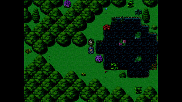 Screenshot z Chronicle of Daneya
