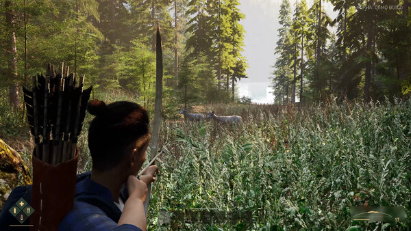 The Gold River Project