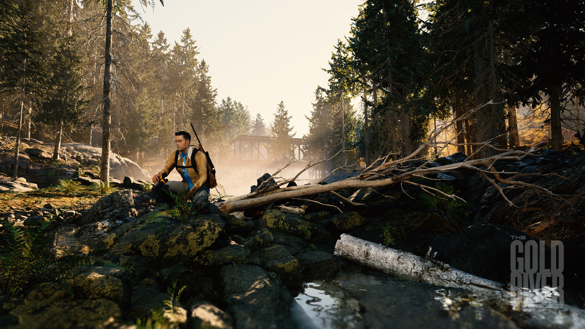 The Gold River Project screenshot #4