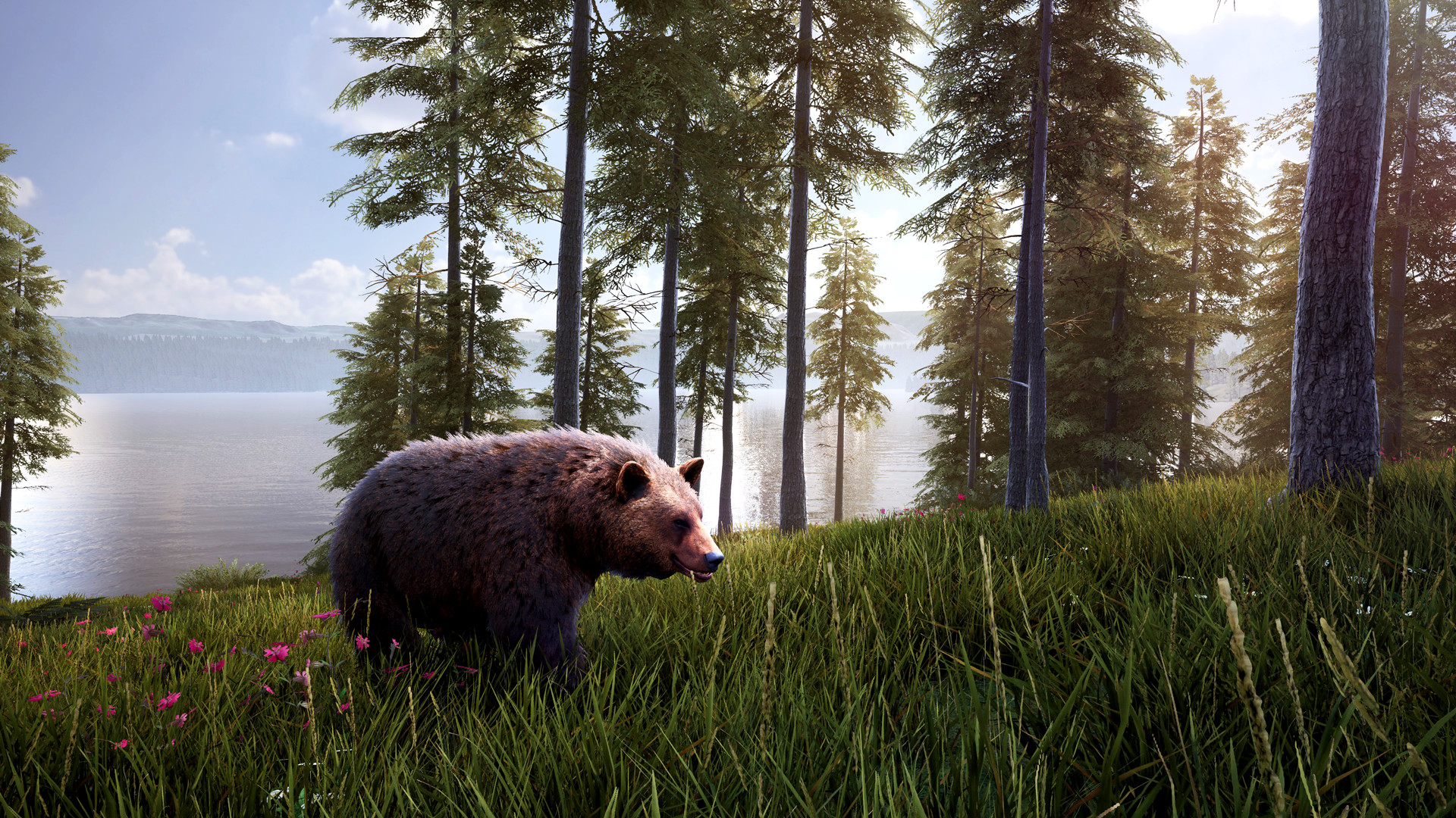 Hunting Simulator 2 Bear Hunter Pack Featured Screenshot #1