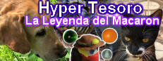 Hyper Treasure - The Legend of Macaron