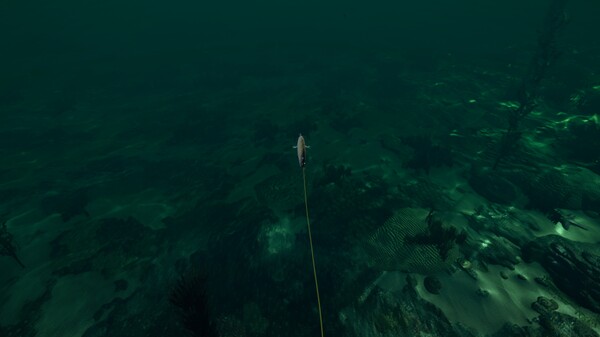 Ultimate Fishing® Simulator - Florida DLC