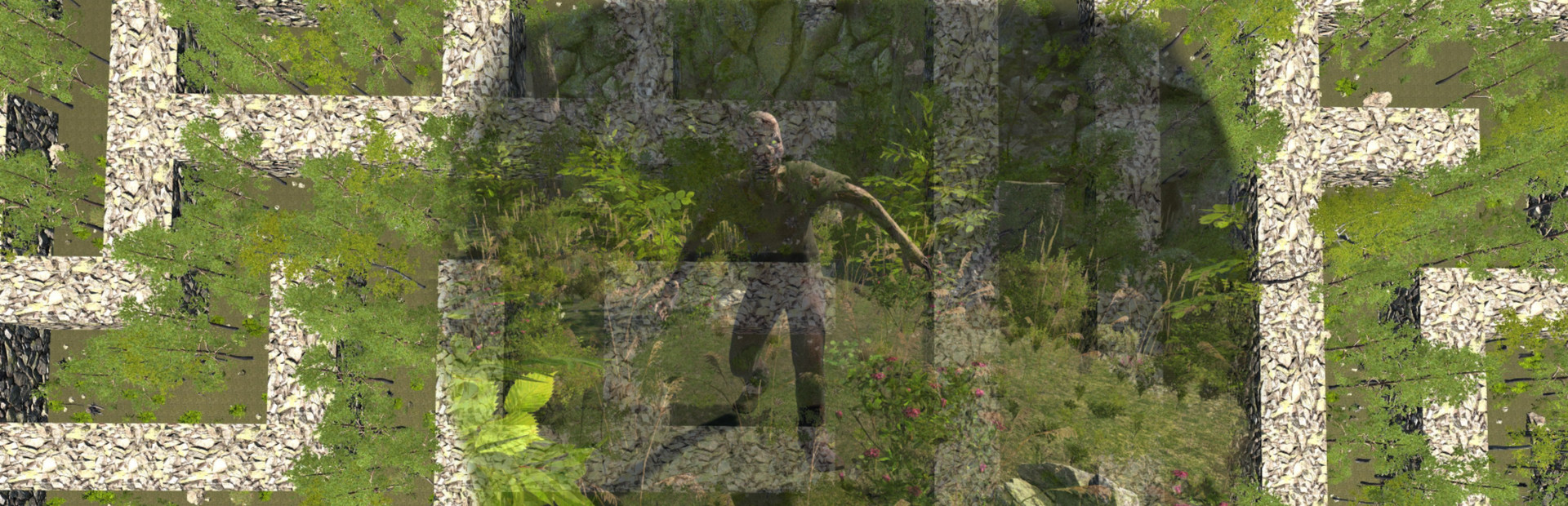 The Maze
