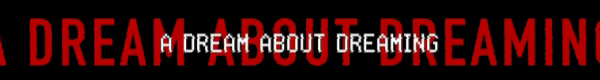 SIGNALIS video 16