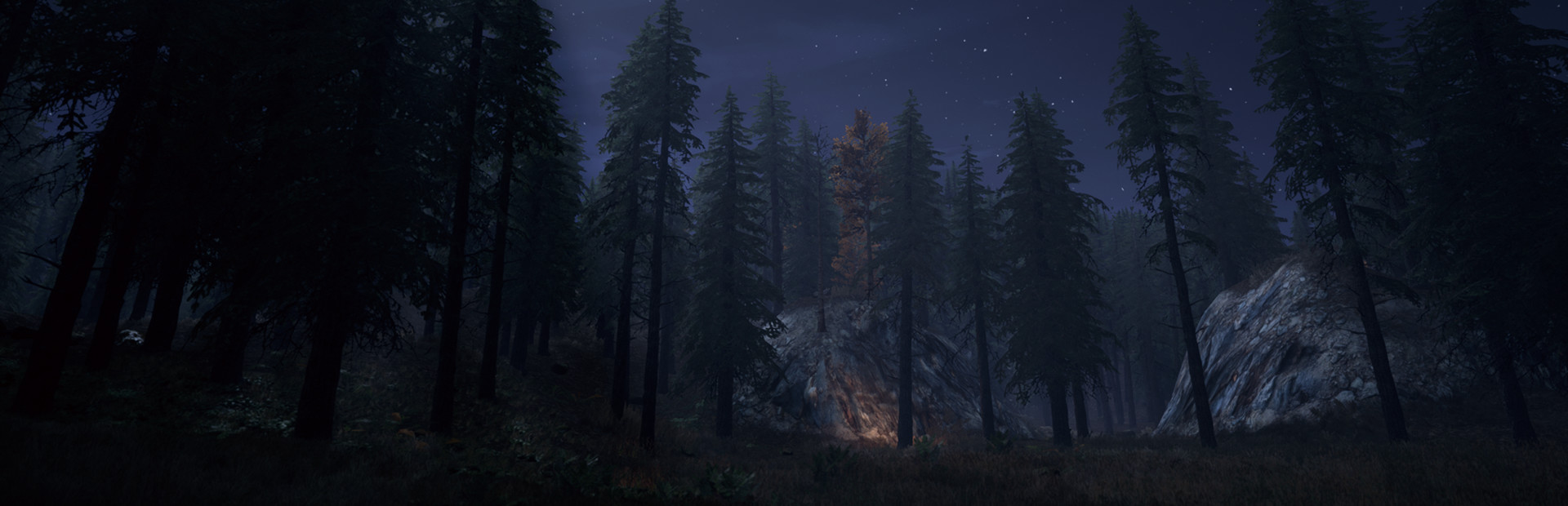 Nightwalker