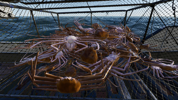 Fishing: North Atlantic - Enhanced Edition-游戏截图