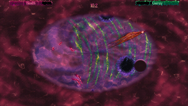 Super Swarmer Survivors screenshot 2