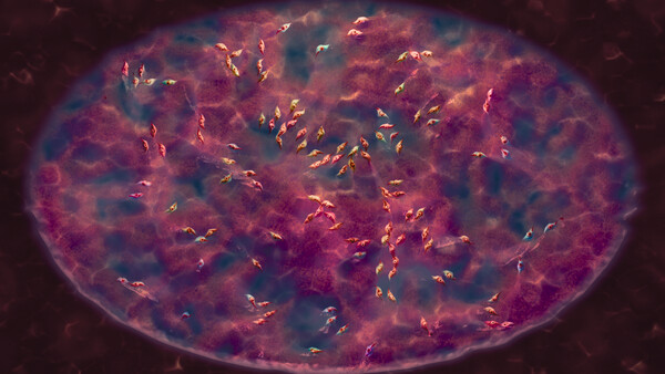 Super Swarmer Survivors screenshot 4