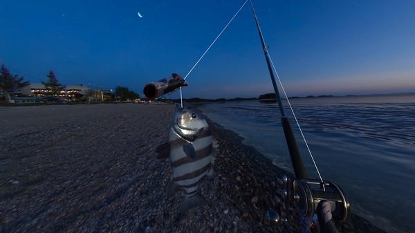 Real VR Fishing